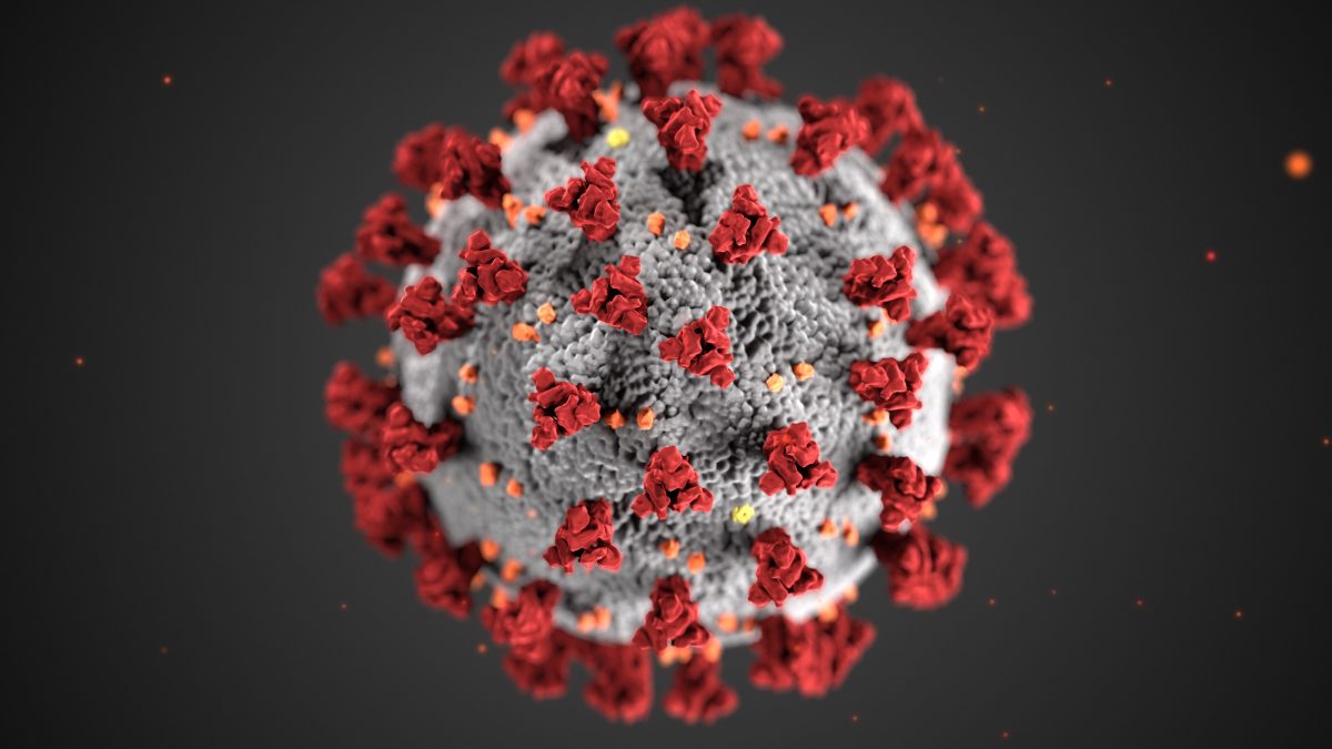 cdc-coranavirus
